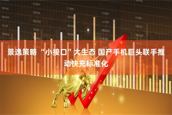 景逸策略 “小接口”大生态 国产手机巨头联手推动快充标准化
