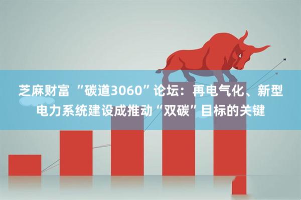 芝麻财富 “碳道3060”论坛：再电气化、新型电力系统建设成推动“双碳”目标的关键