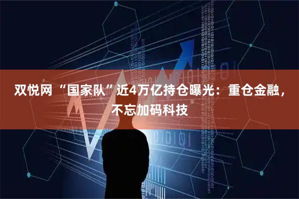 双悦网 “国家队”近4万亿持仓曝光：重仓金融，不忘加码科技