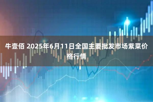 牛壹佰 2025年6月11日全国主要批发市场紫菜价格行情